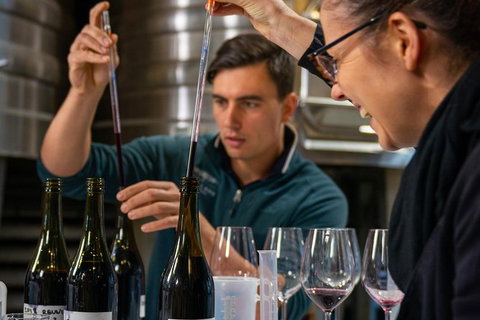 The Lane Vineyard: Blend Your Own Wine - South Australia Travel 3