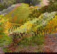 Private Adelaide Hills Wine Region Tour - South Australia Travel