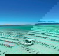 Coffin Bay Day Tour - A Taste of Coffin Bay - South Australia Travel