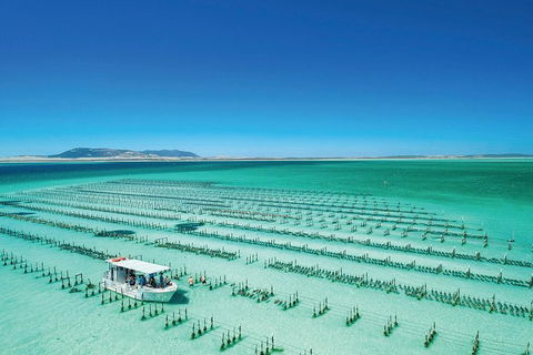 Coffin Bay Day Tour - A Taste Of Coffin Bay - South Australia Travel 0