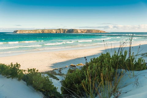 Coffin Bay Day Tour - A Taste Of Coffin Bay - South Australia Travel 13