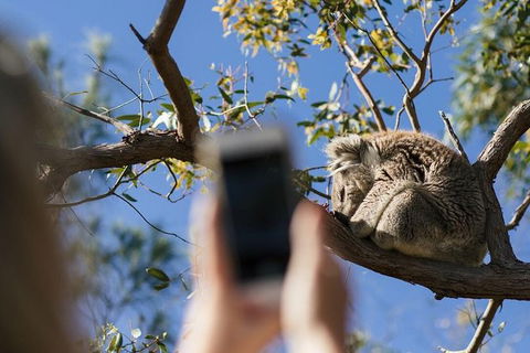 Exceptional Port Lincoln, Seafood And Wildlife Tour - South Australia Travel 0