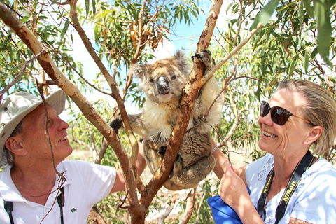 Exceptional Port Lincoln, Seafood And Wildlife Tour - South Australia Travel 6