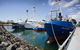 Exceptional Port Lincoln, Seafood And Wildlife Tour - thumb 8