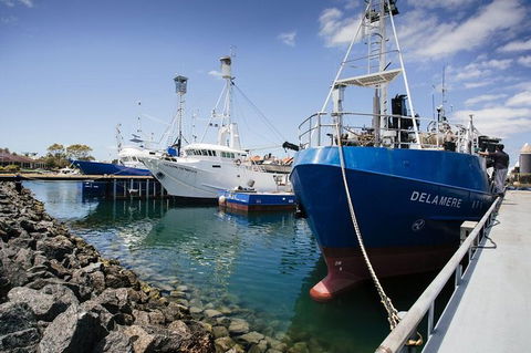 Exceptional Port Lincoln, Seafood And Wildlife Tour - South Australia Travel 8