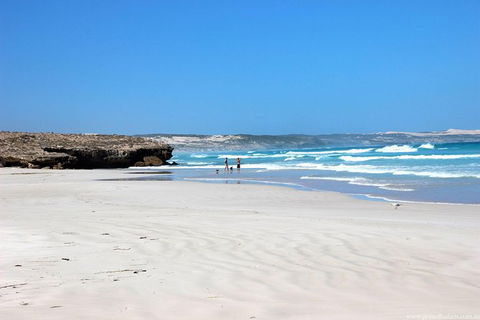 Exceptional Port Lincoln, Seafood And Wildlife Tour - South Australia Travel 4