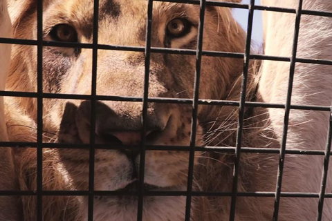 Adelaide Bar Boys Adelaide Hills Experience - South Australia Travel 1