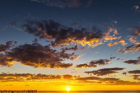 Adelaide Ocean Safari - Twilight Safari - South Australia Travel 1