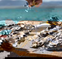 Experience Coffin Bay Short and Sweet Oyster Farm Tour - South Australia Travel