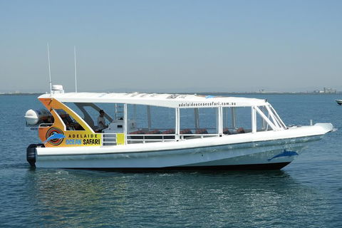 Adelaide Ocean Safari - Wild Dolphin Safari - South Australia Travel 0