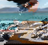 Experience Coffin Bay Oyster Farm and Bay Tour - South Australia Travel
