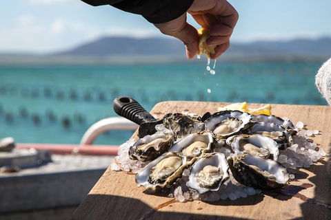 Experience Coffin Bay Oyster Farm And Bay Tour - South Australia Travel 0