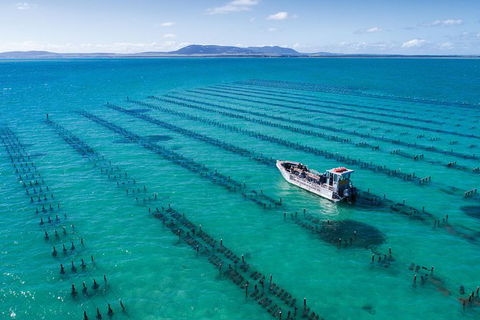 Experience Coffin Bay Oyster Farm And Bay Tour - South Australia Travel 1