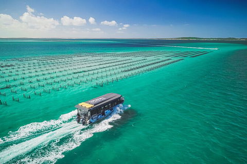 Experience Coffin Bay Oyster Farm And Bay Tour - South Australia Travel 2