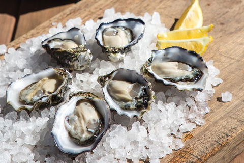 Experience Coffin Bay Oyster Farm And Bay Tour - South Australia Travel 3