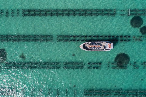 Experience Coffin Bay Oyster Farm And Bay Tour - South Australia Travel 4