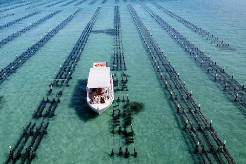 Experience Coffin Bay Oyster Farm And Bay Tour - South Australia Travel 8