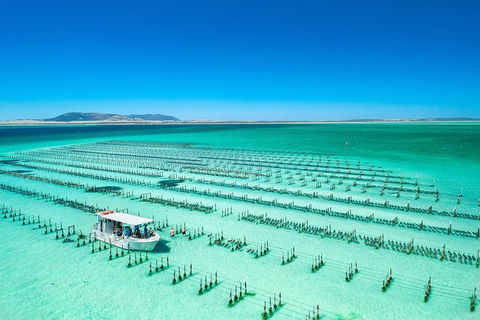 Experience Coffin Bay Oyster Farm And Bay Tour - South Australia Travel 7