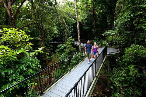 5-Day Best Of Cairns With Daintree, Kuranda, And Great Barrier Reef - South Australia Travel 4