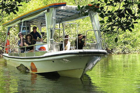 5-Day Best Of Cairns With Daintree, Kuranda, And Great Barrier Reef - South Australia Travel 8