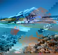 3-Day Southern Great Barrier Reef Tour Including Lady Musgrave Island - South Australia Travel