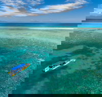 Ocean Safari Great Barrier Reef Experience in Cape Tribulation - South Australia Travel