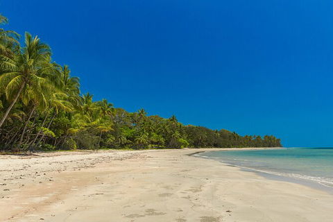 Ocean Safari Great Barrier Reef Experience In Cape Tribulation - South Australia Travel 3