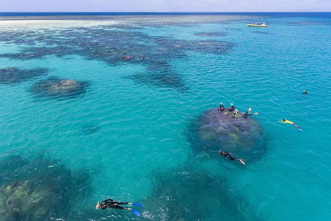 Ocean Safari Great Barrier Reef Experience In Cape Tribulation - South Australia Travel 12