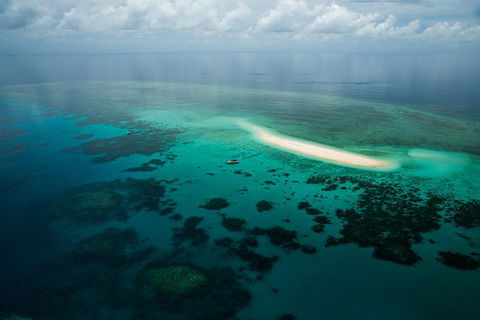 Ocean Safari Great Barrier Reef Experience In Cape Tribulation - South Australia Travel 16