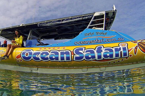 Ocean Safari Great Barrier Reef Experience In Cape Tribulation - South Australia Travel 8