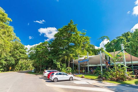 Ocean Safari Great Barrier Reef Experience In Cape Tribulation - South Australia Travel 7