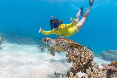 Ocean Safari Great Barrier Reef Experience In Cape Tribulation - South Australia Travel 13