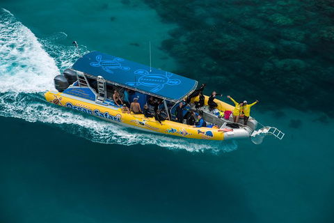 Ocean Safari Great Barrier Reef Experience In Cape Tribulation - South Australia Travel 9