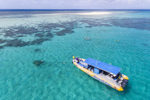 Ocean Safari Great Barrier Reef Experience In Cape Tribulation - South Australia Travel 11