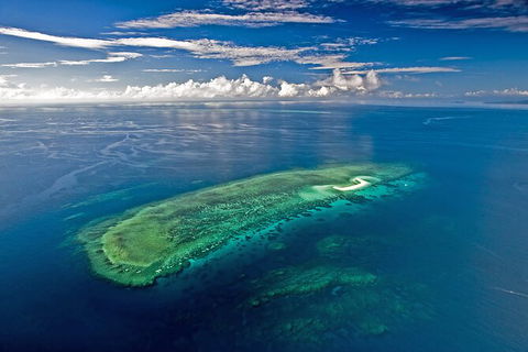 Ocean Safari Great Barrier Reef Experience In Cape Tribulation - South Australia Travel 15
