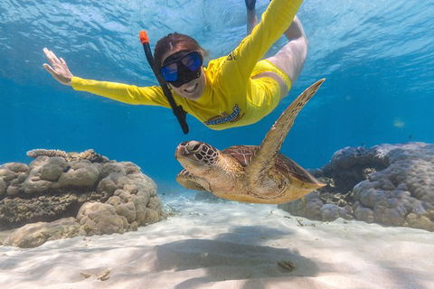 Ocean Safari Great Barrier Reef Experience In Cape Tribulation - South Australia Travel 2