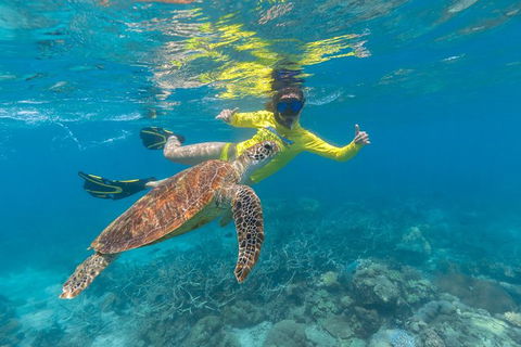Ocean Safari Great Barrier Reef Experience In Cape Tribulation - South Australia Travel 14