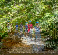 Whitsunday Segway Rainforest Discovery Tour - South Australia Travel