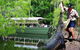 Crocs, Creatures And Culture Tour Ex Cairns - thumb 1