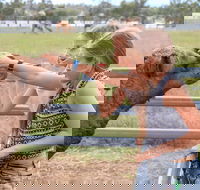 Camel Farm Deluxe Experience - South Australia Travel