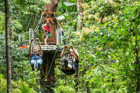 Cape Tribulation Jungle Surfing Canopy Tour - South Australia Travel 1