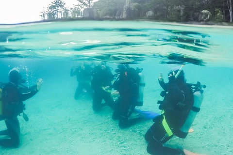 3 Day Whitsundays Sailing And Diving Adventure: Kiana - South Australia Travel 12