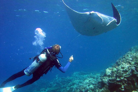 3 Day Whitsundays Sailing And Diving Adventure: Kiana - South Australia Travel 9