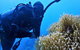3 Day Whitsundays Sailing And Diving Adventure: Kiana - thumb 3