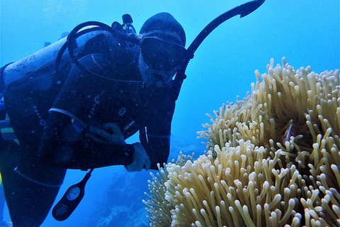 3 Day Whitsundays Sailing And Diving Adventure: Kiana - South Australia Travel 3