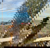 Goolimbil Walkabout Indigenous Experience in the Town of 1770 - South Australia Travel