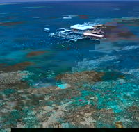 Quicksilver Outer Great Barrier Reef Snorkel Cruise from Port Douglas - South Australia Travel
