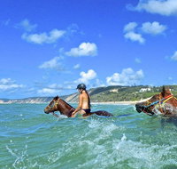 Horse Swimming Ride from Rainbow Beach
