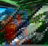 Skyrail Rainforest Cableway Day Trip from Palm Cove - South Australia Travel