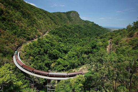 Skyrail Rainforest Cableway Day Trip From Palm Cove - South Australia Travel 5